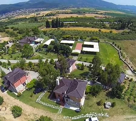 Aparthotel Ktima Papadopoulou Krioneri  Esterno foto